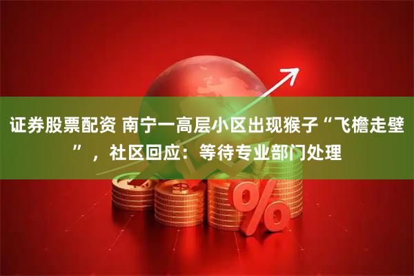 证券股票配资 南宁一高层小区出现猴子“飞檐走壁” ，社区回应：等待专业部门处理